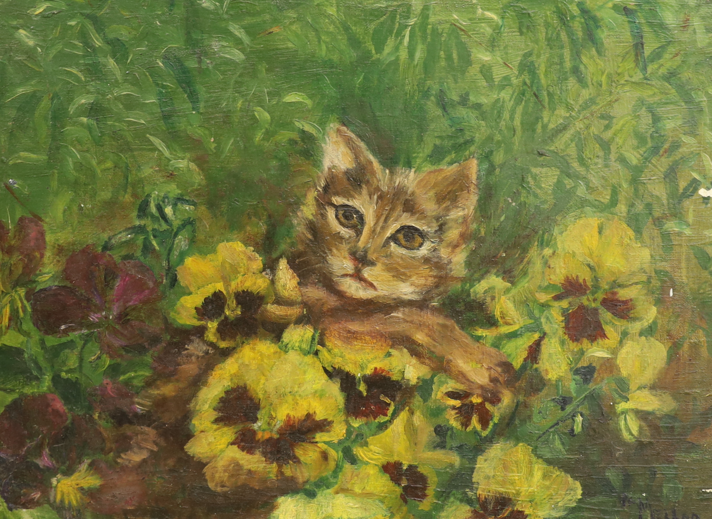 Pam Mellor, oil on canvas board, Cat amongst flowers, signed, 27 x 35cm, unframed